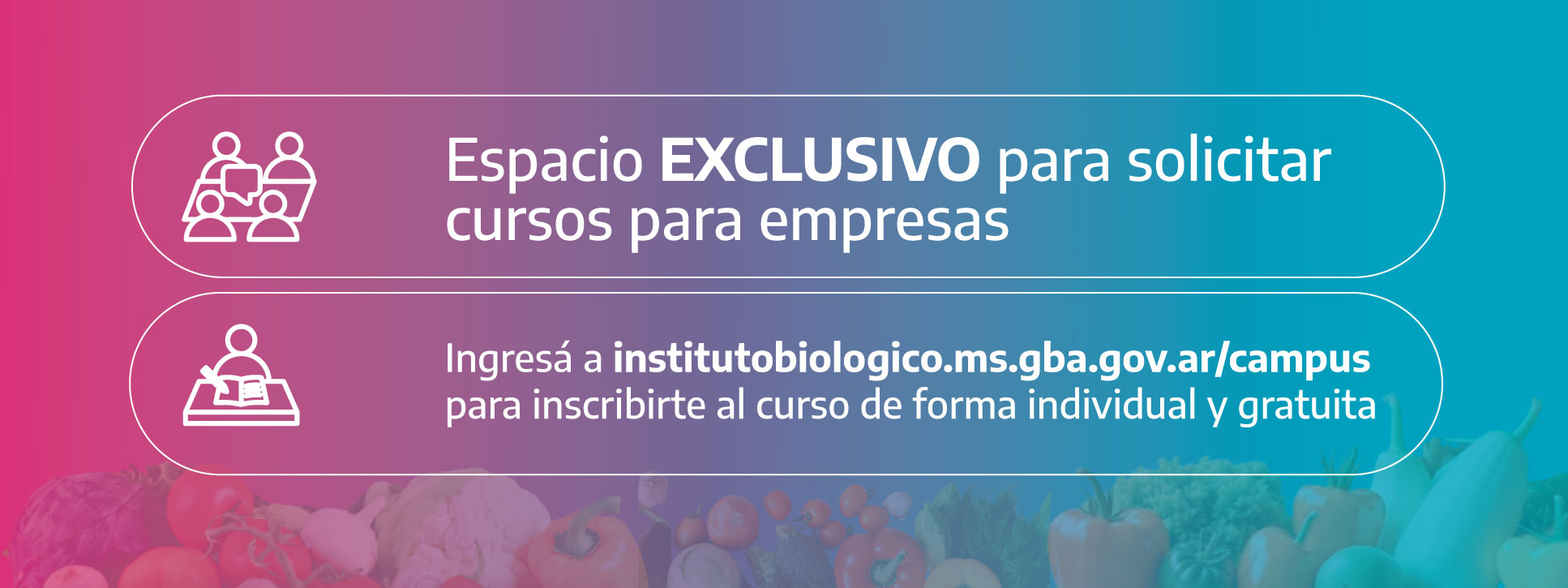 Curso